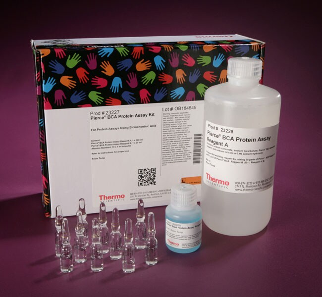 Pierce BCA 蛋白检测试剂盒